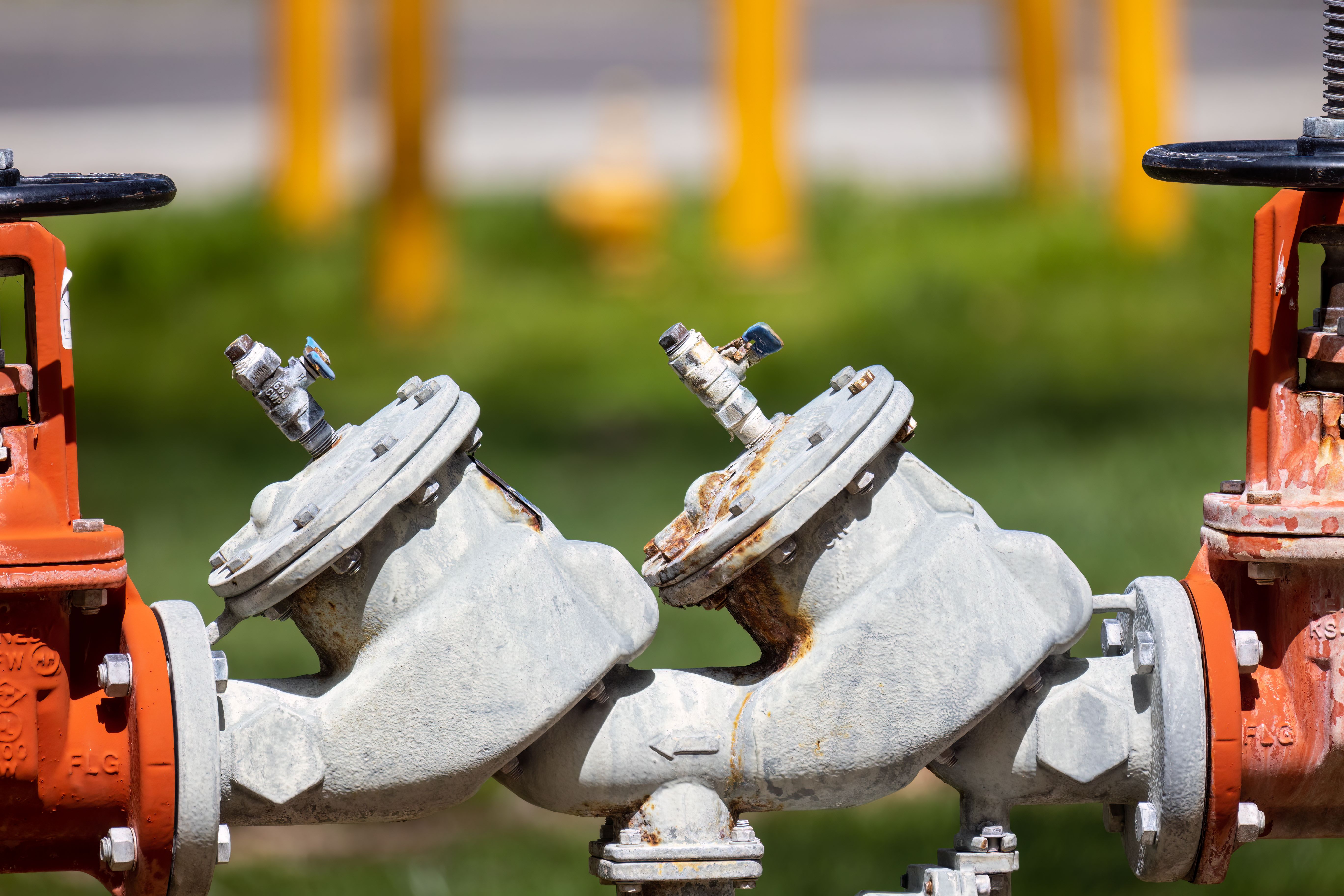 Check Valves and Backflow Preventers